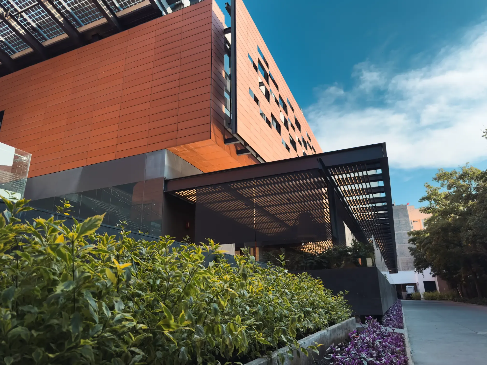 AltOlivo, arquitectura y áreas verdes 3 en Álvaro Obregón