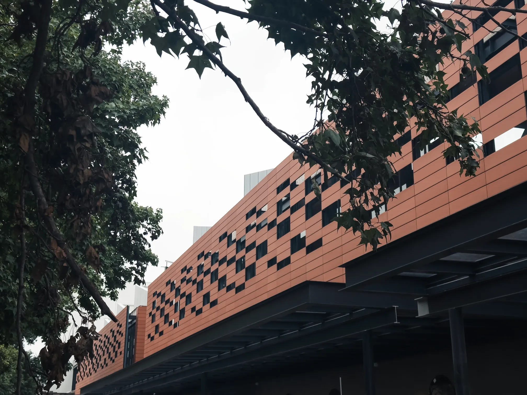 AltOlivo, arquitectura y áreas verdes 2 en Álvaro Obregón