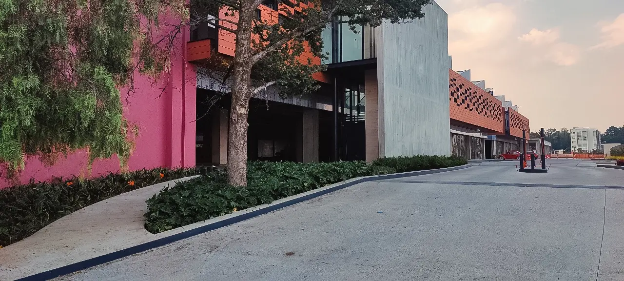 Inauguración Planet Fitness AltOlivo